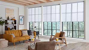 Horizontal Sheer Shades with Drapery